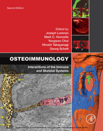 Osteoimmunology