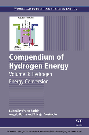 Compendium of Hydrogen Energy main product photo