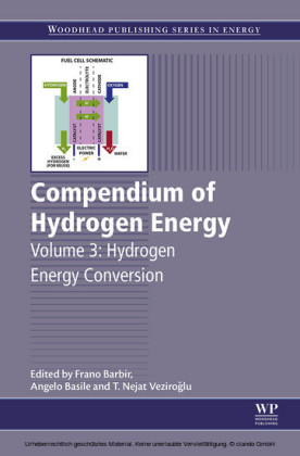 Compendium of Hydrogen Energy