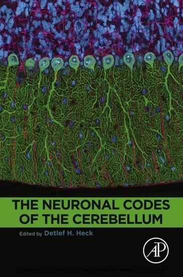 The Neuronal Codes of the Cerebellum main product photo