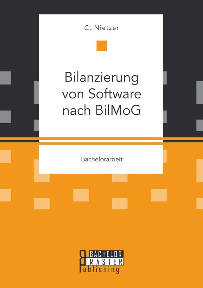 Bilanzierung von Software nach BilMoG main product photo