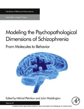 Modeling the Psychopathological Dimensions of Schizophrenia