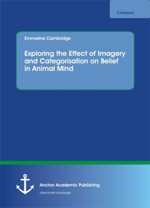 Exploring the Effect of Imagery and Categorisation on Belief in Animal Mind