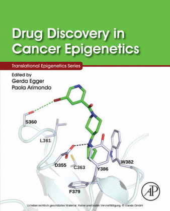Drug Discovery in Cancer Epigenetics