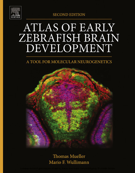 Atlas of Early Zebrafish Brain Development main product photo