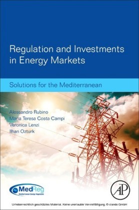 Regulation and Investments in Energy Markets