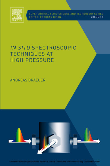 In situ Spectroscopic Techniques at High Pressure main product photo