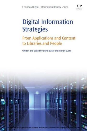 Digital Information Strategies main product photo