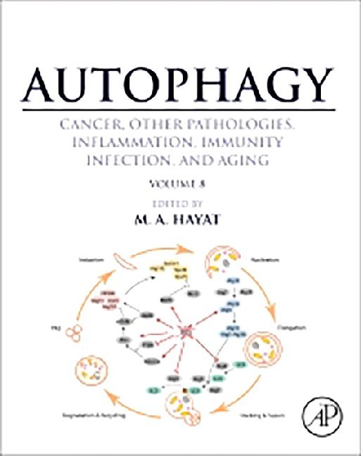 Autophagy: Cancer, Other Pathologies, Inflammation, Immunity, Infection, and Aging main product photo