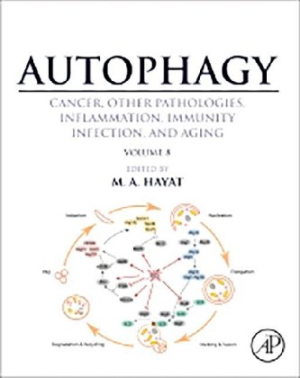 Autophagy: Cancer, Other Pathologies, Inflammation, Immunity, Infection, and Aging