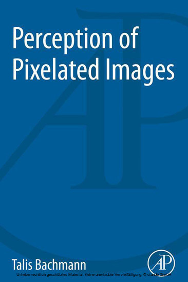 Perception of Pixelated Images main product photo
