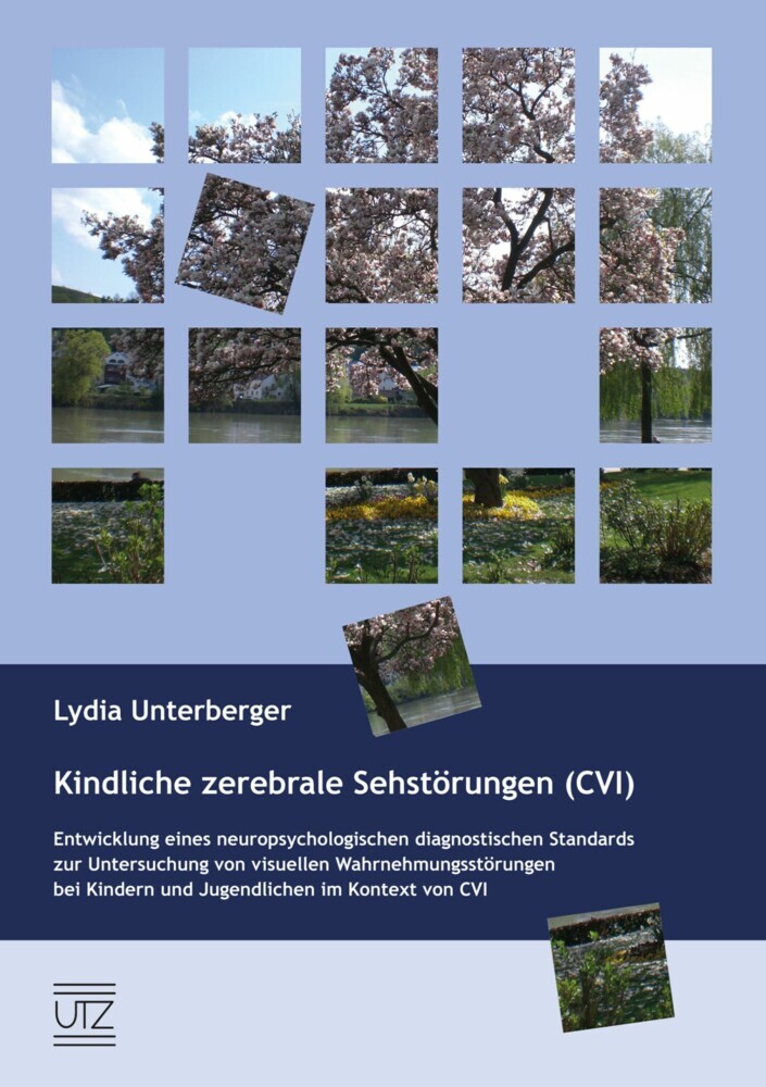 Kindliche zerebrale Sehstörungen (CVI) main product photo