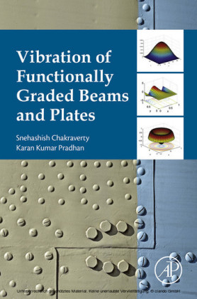 Vibration of Functionally Graded Beams and Plates