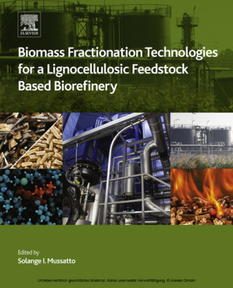 Biomass Fractionation Technologies for a Lignocellulosic Feedstock Based Biorefinery