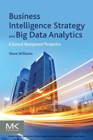 Business Intelligence Strategy and Big Data Analytics main product photo