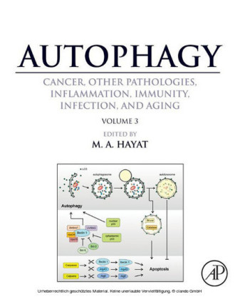 Autophagy: Cancer, Other Pathologies, Inflammation, Immunity, Infection, and Aging