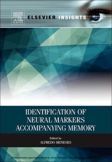 Identification of Neural Markers Accompanying Memory main product photo