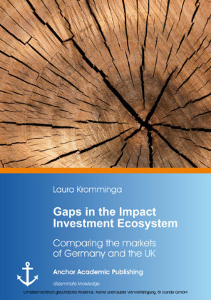 Gaps in the Impact Investment Ecosystem