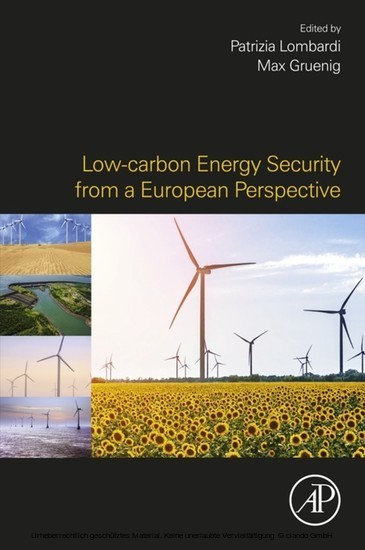 Low-carbon Energy Security from a European Perspective main product photo