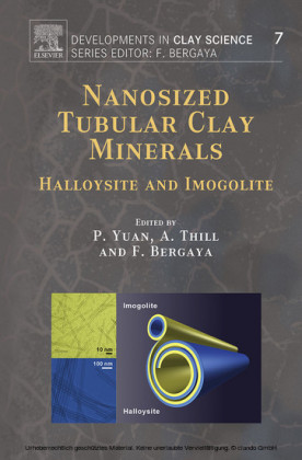 Nanosized Tubular Clay Minerals