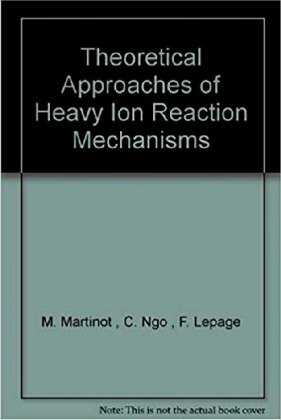 Theoretical Approaches of Heavy Ion Reaction Mechanisms