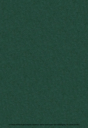 Surface & Coatings Technology