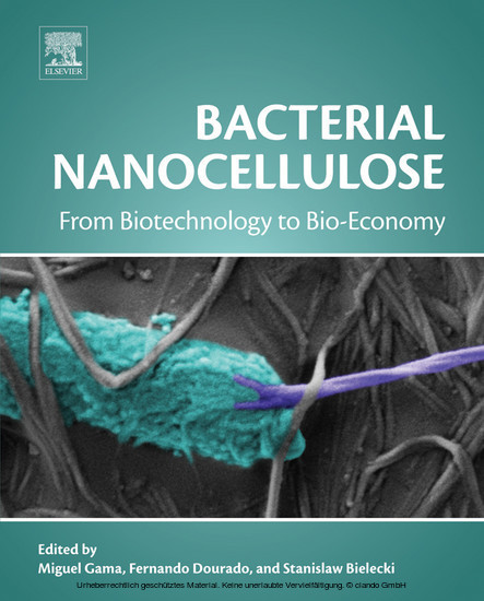 Bacterial Nanocellulose main product photo