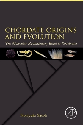 Chordate Origins and Evolution