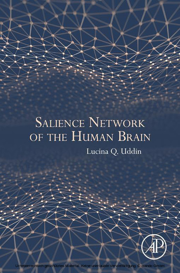 Salience Network of the Human Brain main product photo