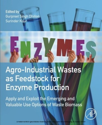 Agro-Industrial Wastes as Feedstock for Enzyme Production