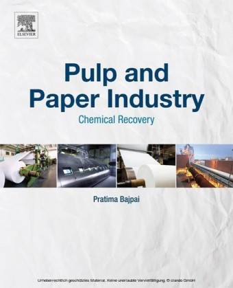 Pulp and Paper Industry