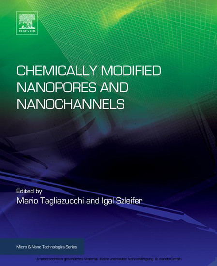 Chemically Modified Nanopores and Nanochannels main product photo