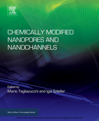 Chemically Modified Nanopores and Nanochannels