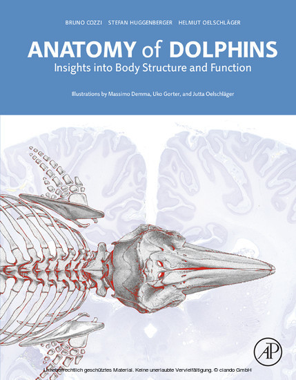 Anatomy of Dolphins main product photo