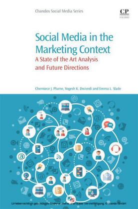 Social Media in the Marketing Context
