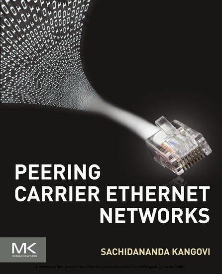 Peering Carrier Ethernet Networks main product photo