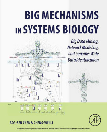 Big Mechanisms in Systems Biology