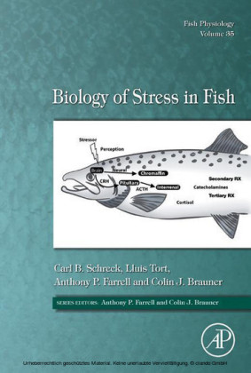 Biology of Stress in Fish