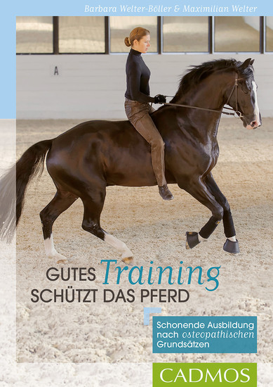 Gutes Training schützt das Pferd main product photo