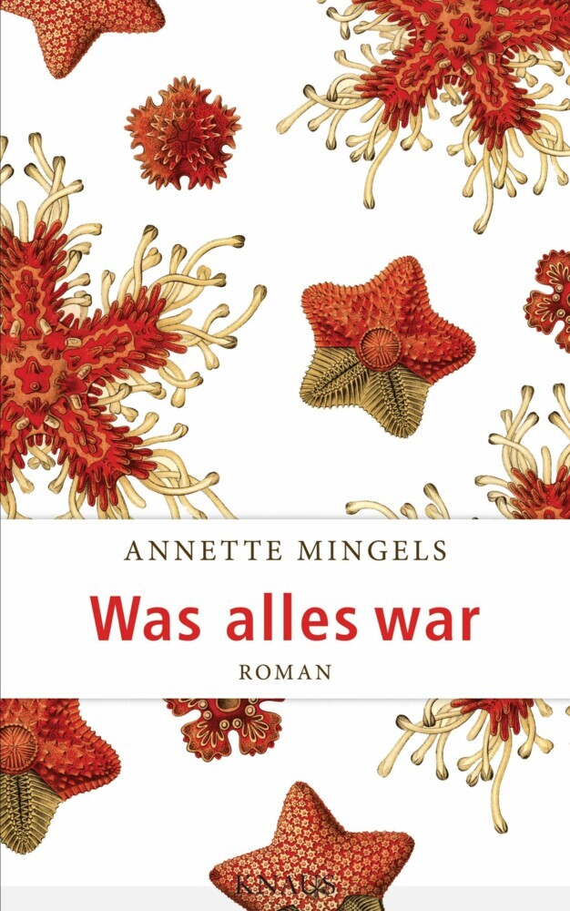 Was alles war main product photo