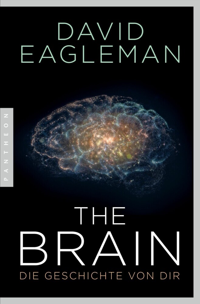 The Brain main product photo