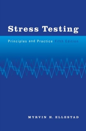 Stress Testing: Principles and Practice