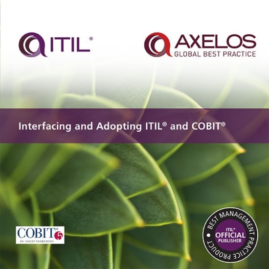 Interfacing and Adopting ITIL and COBIT main product photo