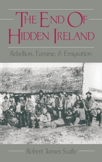 End of Hidden Ireland: Rebellion, Famine, and Emigration main product photo