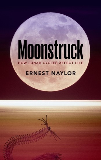 Moonstruck: How lunar cycles affect life main product photo