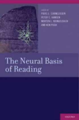 Neural Basis of Reading