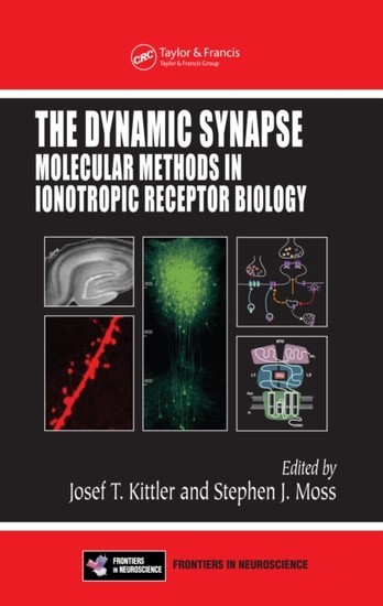 Dynamic Synapse main product photo