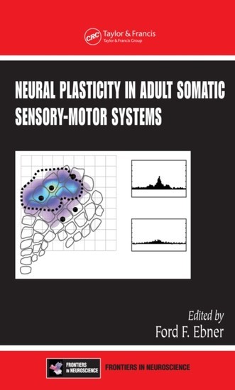 Neural Plasticity in Adult Somatic Sensory-Motor Systems main product photo