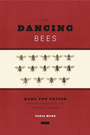 Dancing Bees main product photo