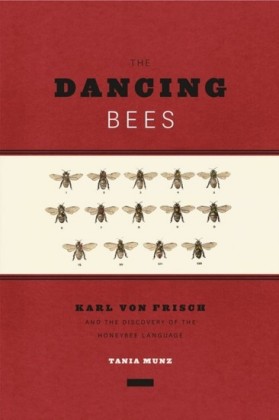 Dancing Bees